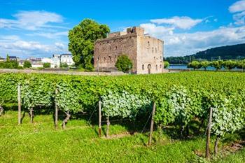 Rüdesheim am Rhein, bromserburg