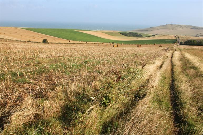 regionale natuurpark Caps et Marais d’Opale