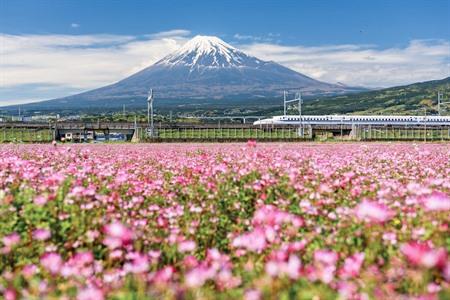 Reizen naar Osaka in Japan