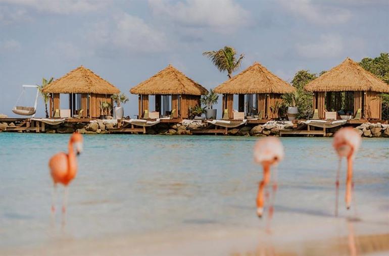 Renaissance Wind Creek Aruba Resort boeken