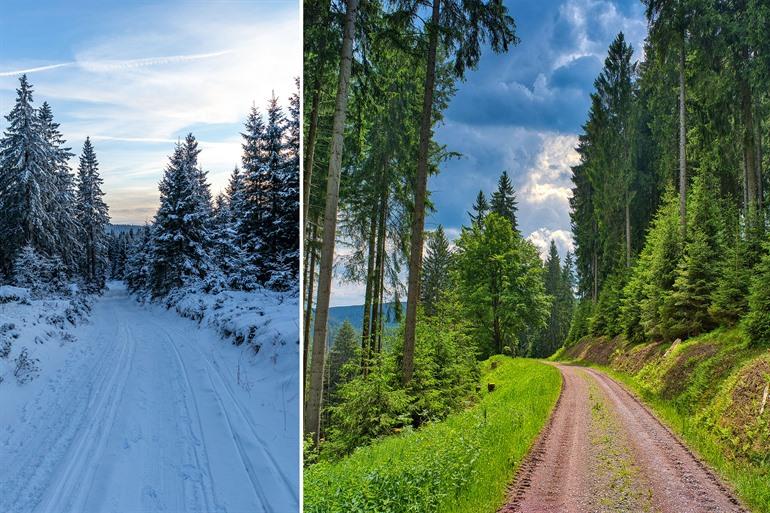 Rennsteig wandelen, Thüringen