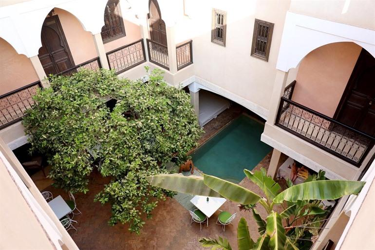 Riad l'Oiseau du Paradis