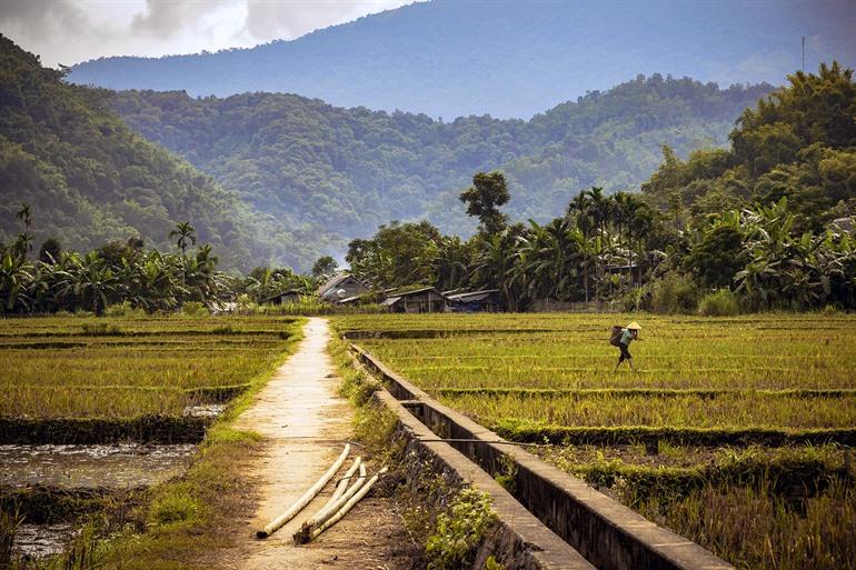 Rijstvelden van Natuurreservaat Pu Luong