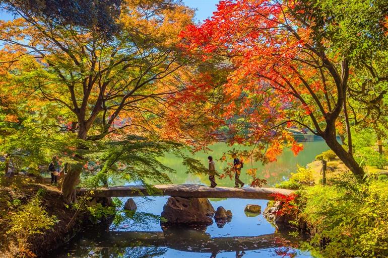Rikugien Garden