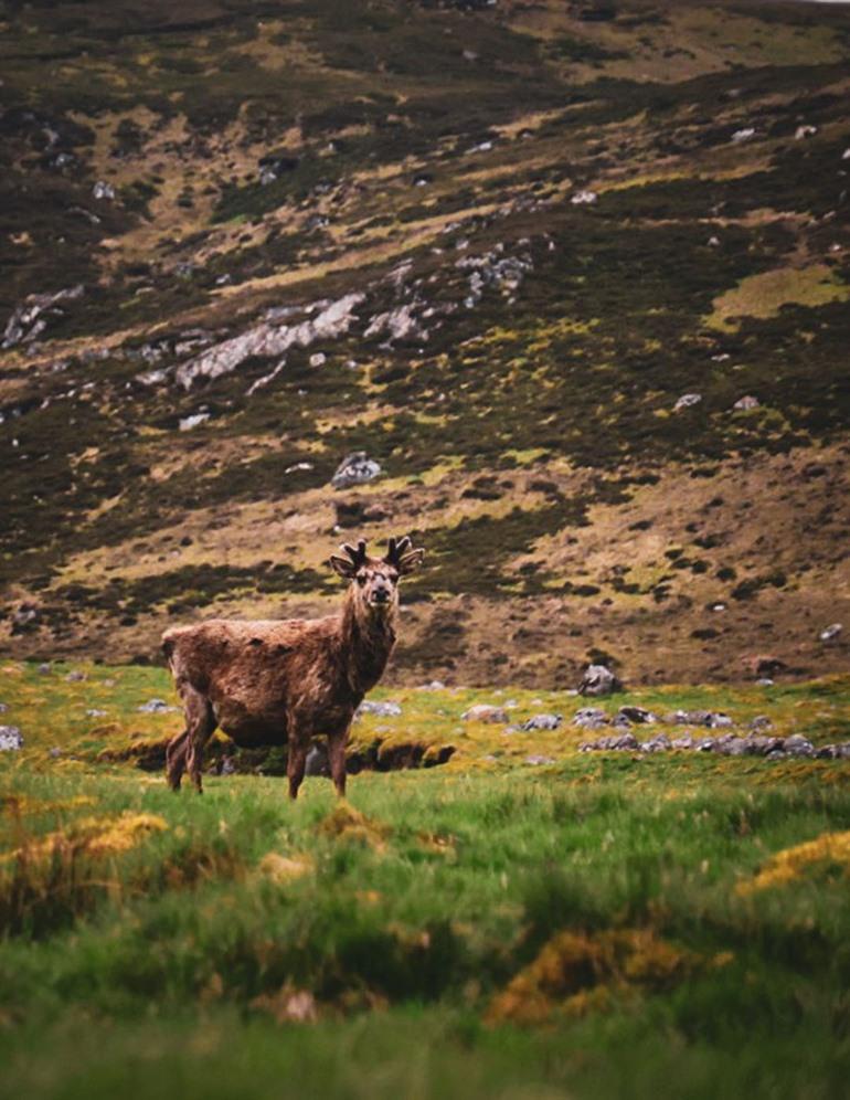 Roadtrip door Schotland met Scotland Nomads