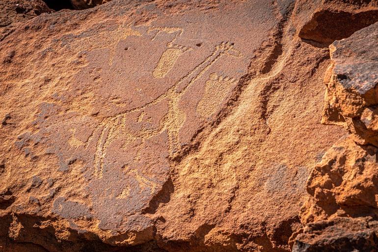 Rondleiding met gids langs de Rotstekeningen van Twyfelfontein