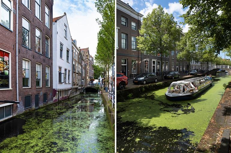 Rondvaart op de Delfste grachtjes