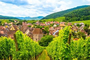 Route des Vins, riquewihr