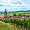 Routes des Vins, Riquewihr