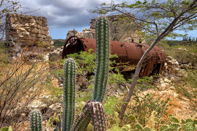 Ruïnes van de goudmolens Balashi, Aruba