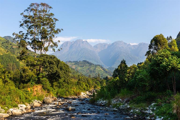 Rwenzori Mountains National Park
