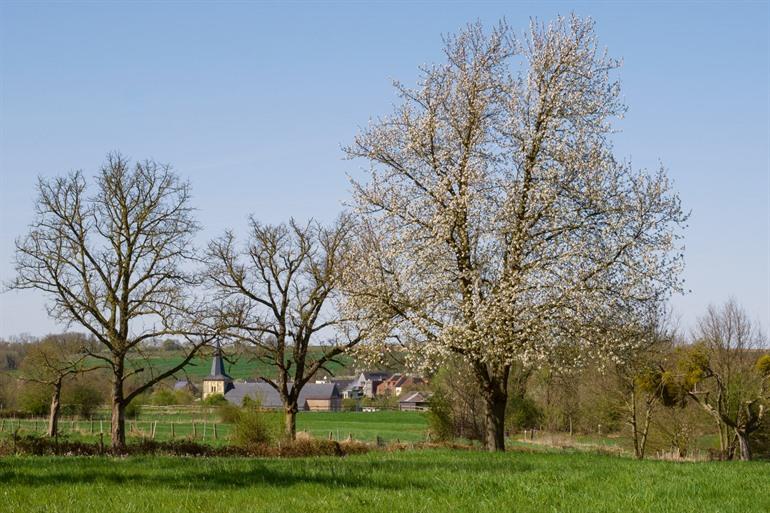 ’s-Gravenvoeren in de achtergrond