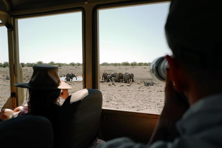 Safari met gids door Etosha National Park