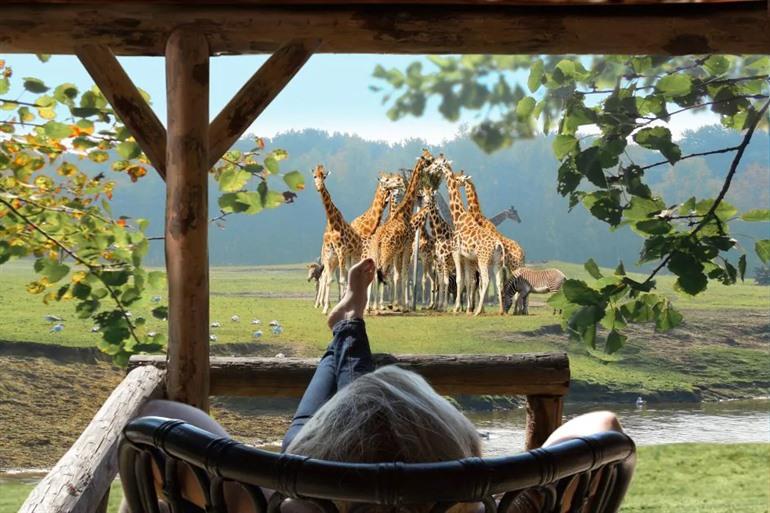 Safari Resort Beekse Bergen (Noord-Brabant)