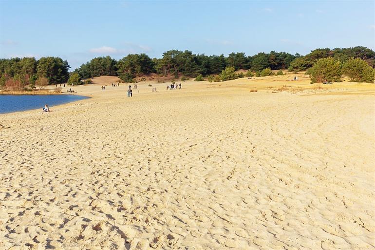 Sahara in Lommel, Limburgse Kempen