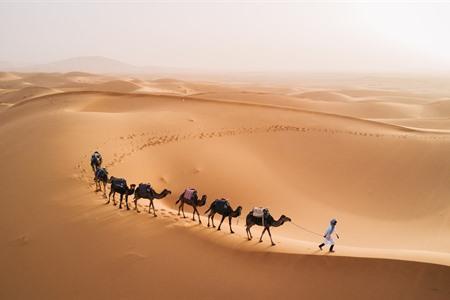 Saharawoestijn Marrakech, Marokko 
