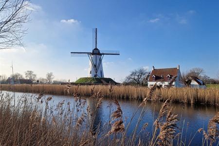 Schellemolen in Damme