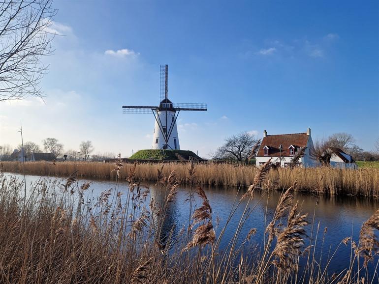 Schellemolen in Damme