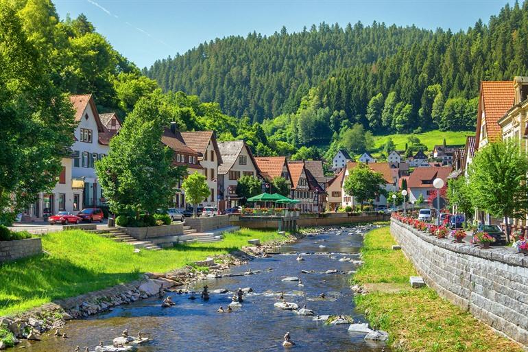 Schiltach, Zwarte Woud