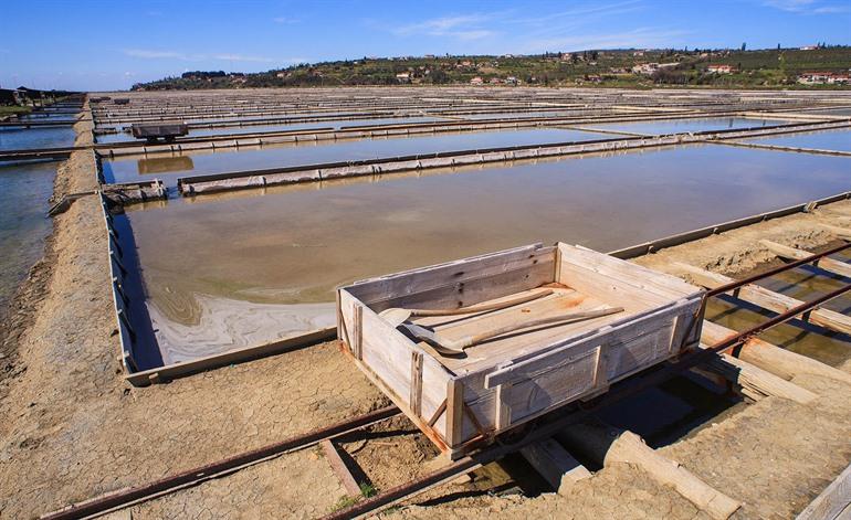 Sečovlje Salt Pans 