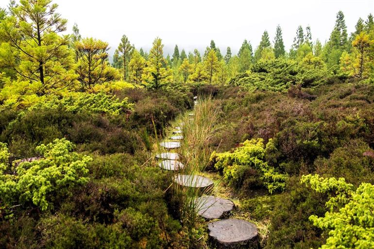 Serra de Santa Bárbara, Terceira