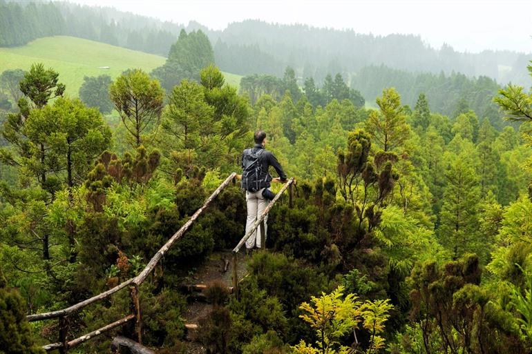 Serra de Santa Bárbara, Terceira