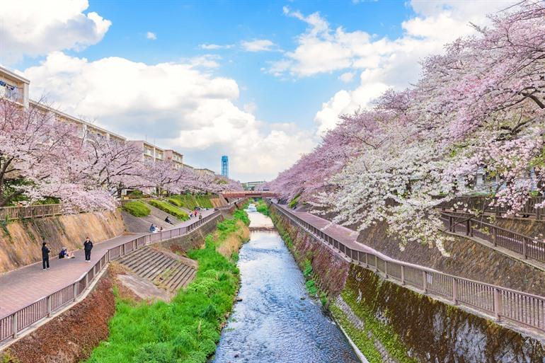 Shakujii River in Nerima