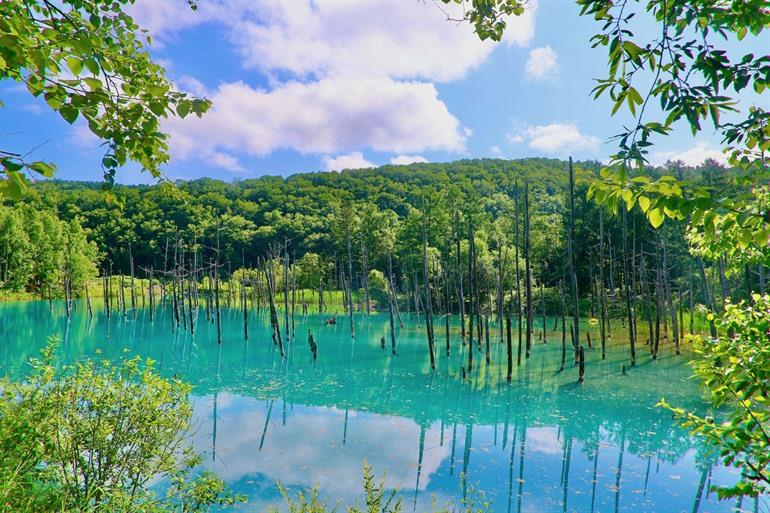 Shirogane Blue Pond