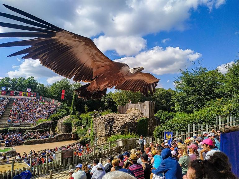 Show met gieren, adelaars en arends bijwonen in Puy du Fou
