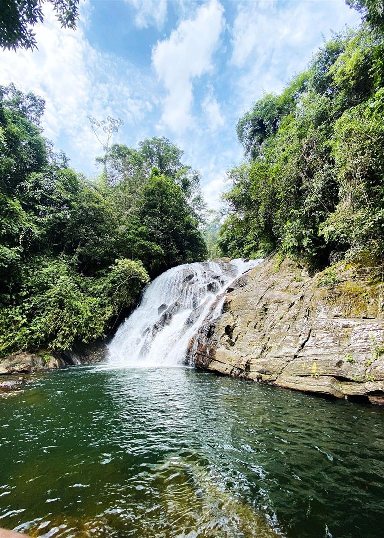 Sinharaja regenwoud bezoeken vanuit Galle