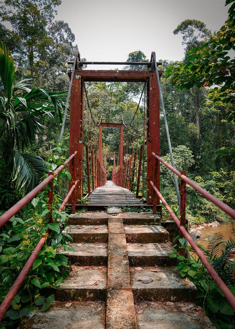 Sinharaja regenwoud bezoeken vanuit Galle