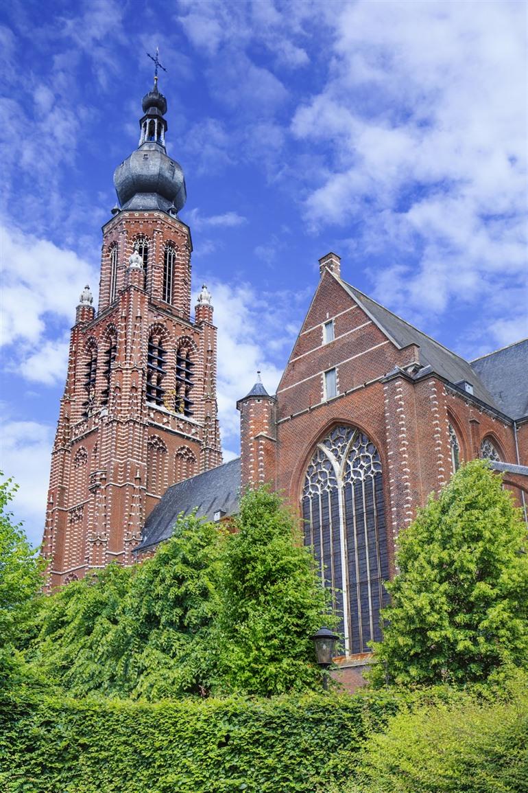Sint-Catharinakerk in Hoogstraten, Antwerpse Kempen