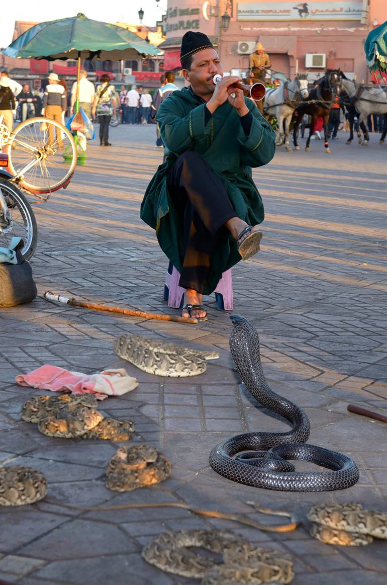 Slangenbezweerder op het Djemaa el Fna plein in Marrakesh