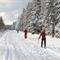 Sneeuw in de Ardennen: Ski-en langlauf gebieden