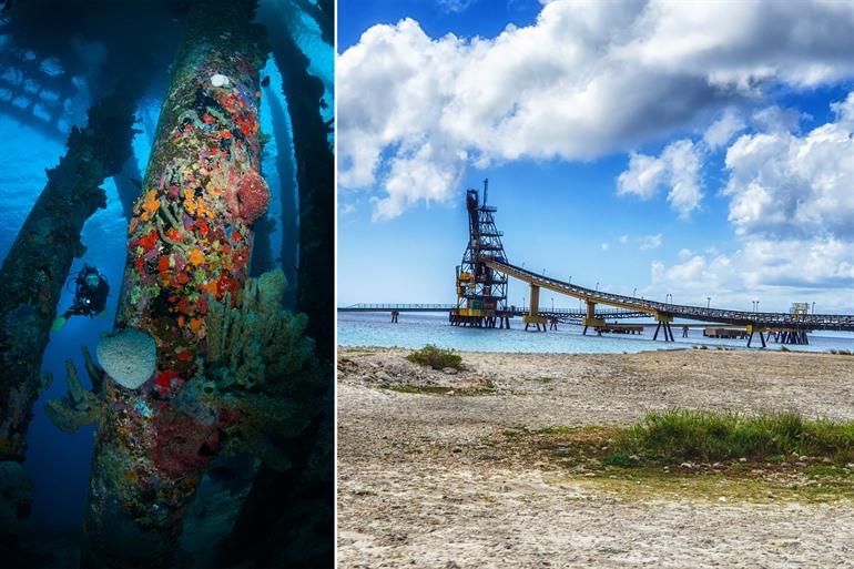 Snorkelen en duiken bij Salt Pier, Bonaire