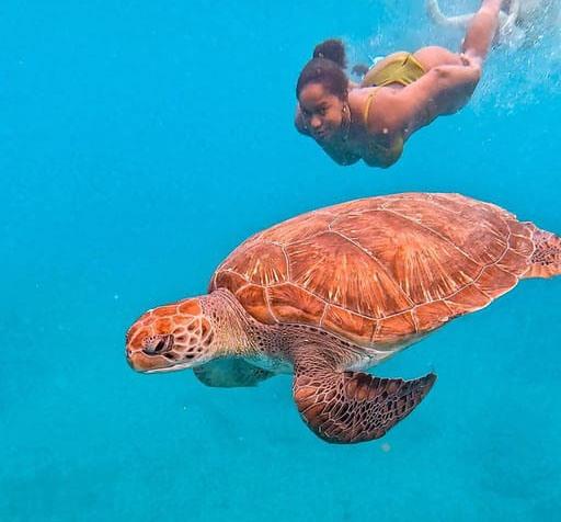 Snorkelen en zwemmen met zeeschildpadden in São Pedro