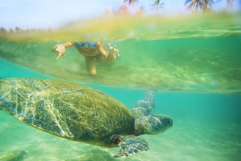 Snorkelen in Hikkaduwa Marine