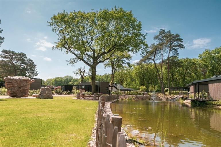 Soof Heuvelrug boeken