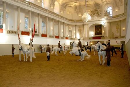 Spaanse rijschool Wenen