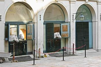 Spaanse Rijschool Wenen