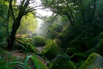 Speciale rotsen in het bos van Huelgoat, Bretagne