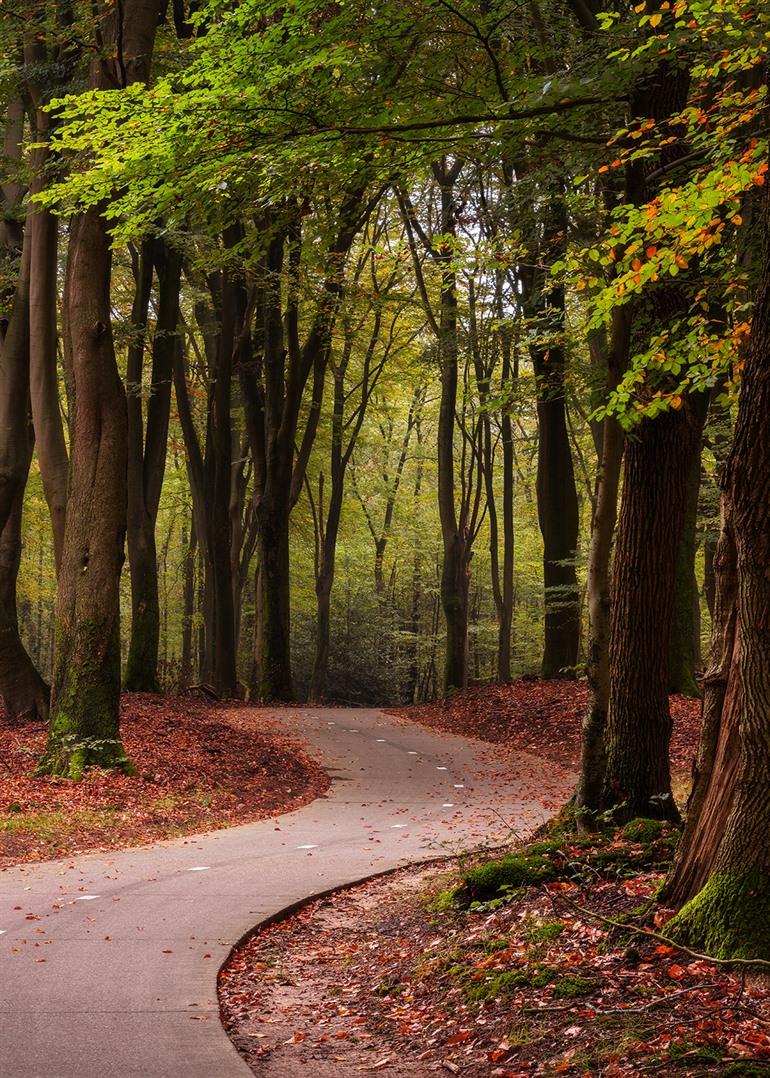 Speulderbos, Veluwe