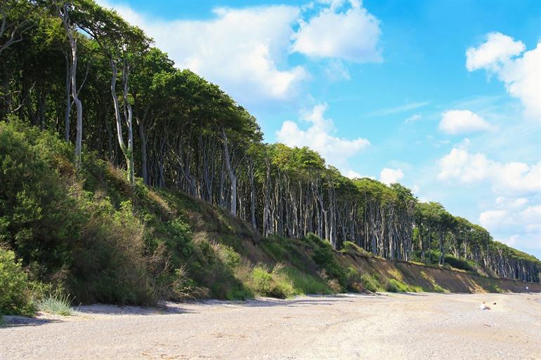 Spookbos Nienhagen, Mecklenburg-Vorpommern