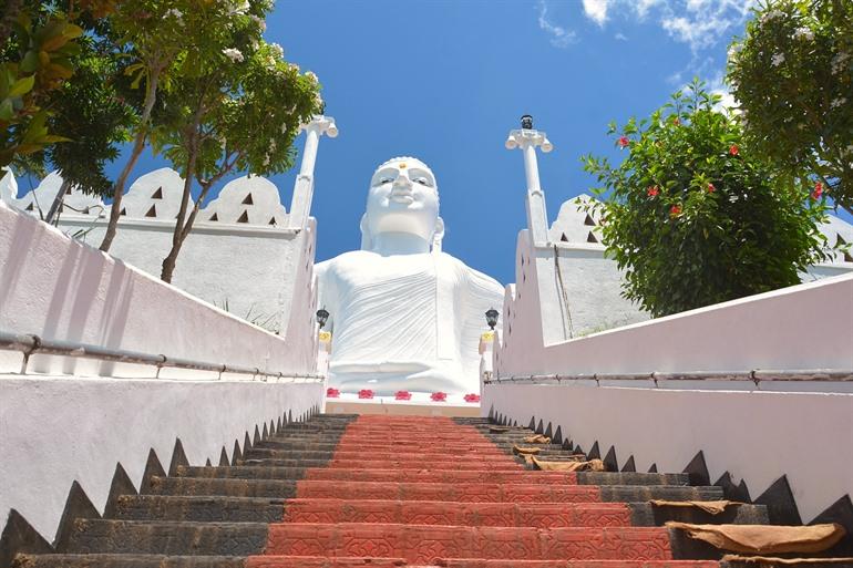 Sri Maha Bodhi Maha Viharaya