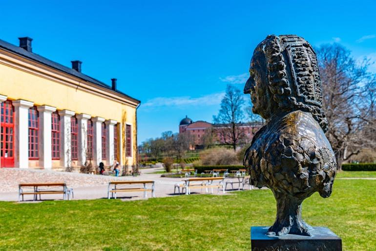 Standbeeld van Linnaeus in de tuin