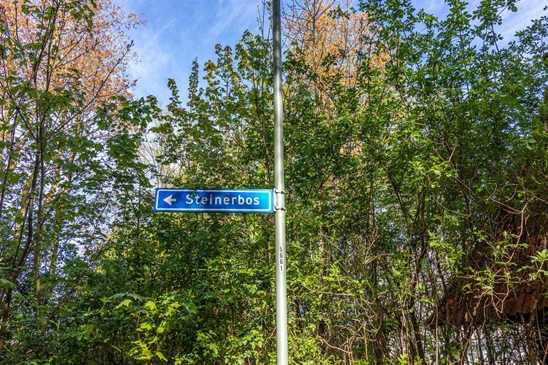 Steinerbos in Limburg