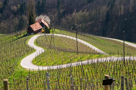 13 x mooiste bezienswaardigheden in Maribor: wat zien & doen? + verblijftips