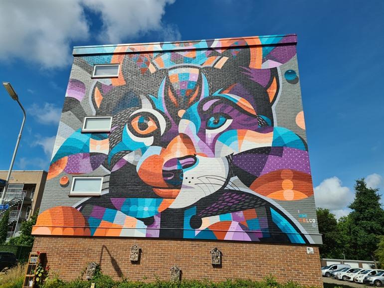 Street-art en muurschilderingen in Goes
