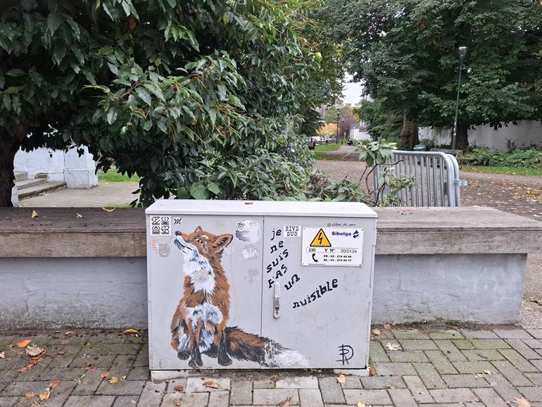 Street art werken Rose Delhaye, Vorst