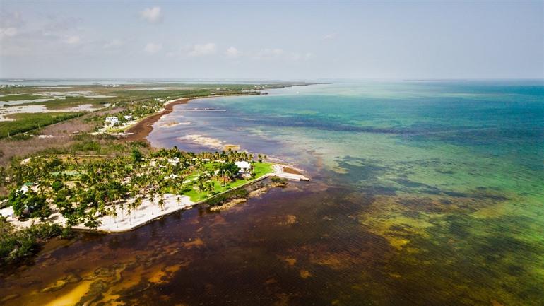 Sugarloaf & Saddlebunch Keys